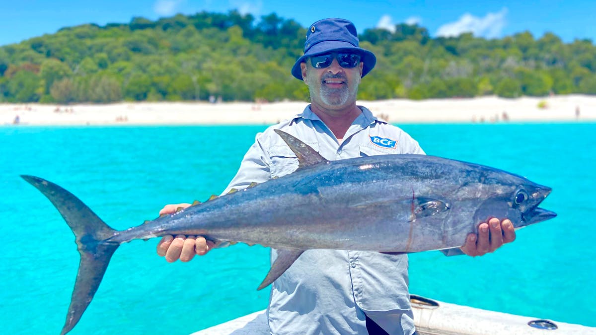 Longtail Tuna Whitehaven Beach