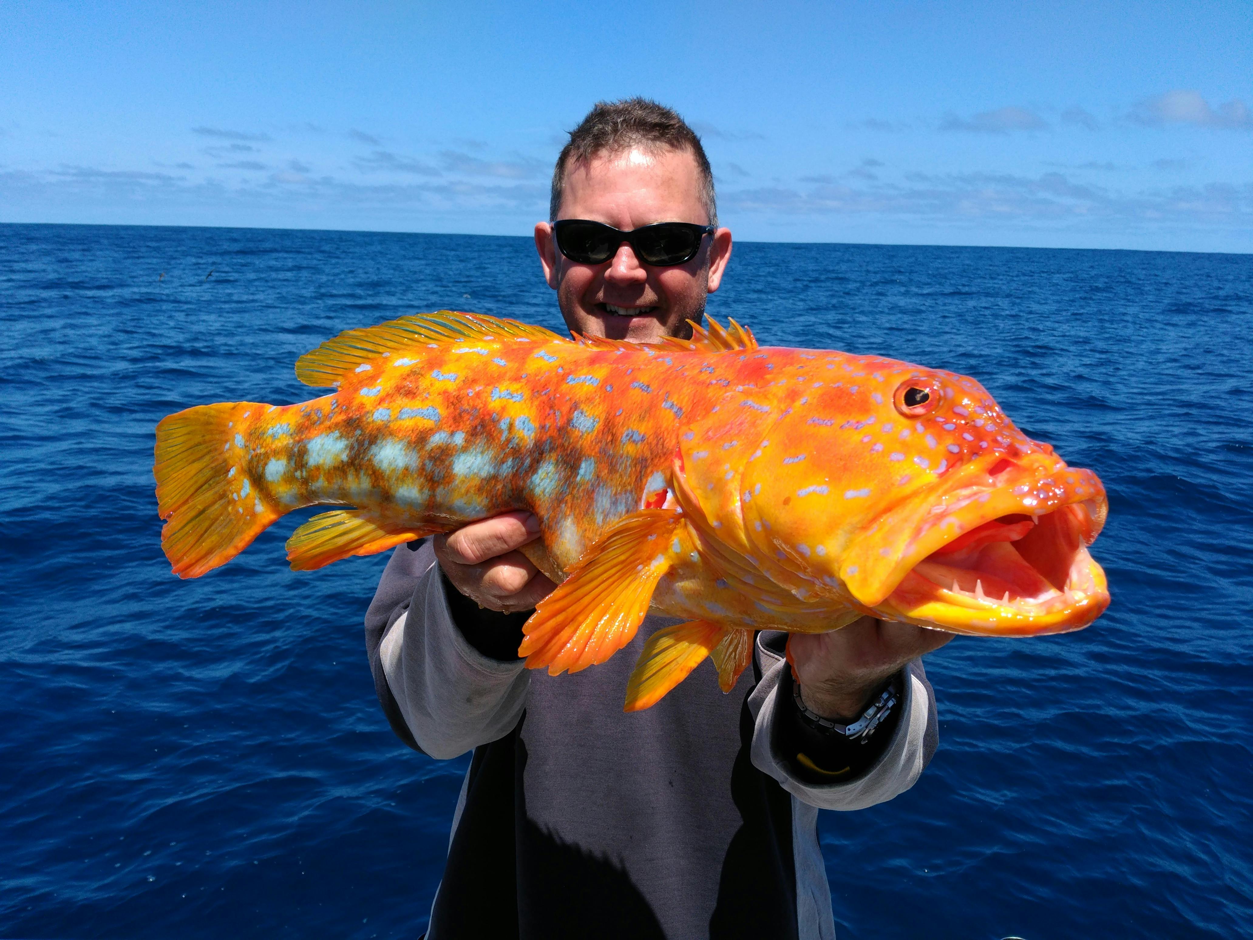 Marion Bay fishing charters family and female friendly