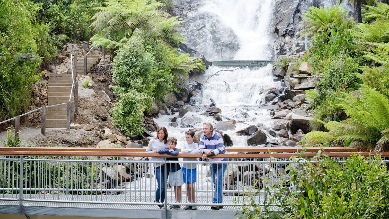 Steavenson Falls