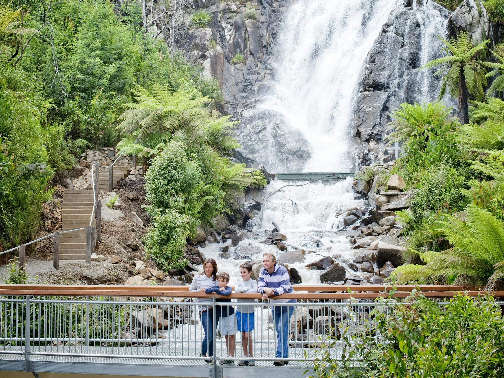 Steavenson Falls