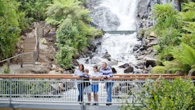 Steavenson Falls