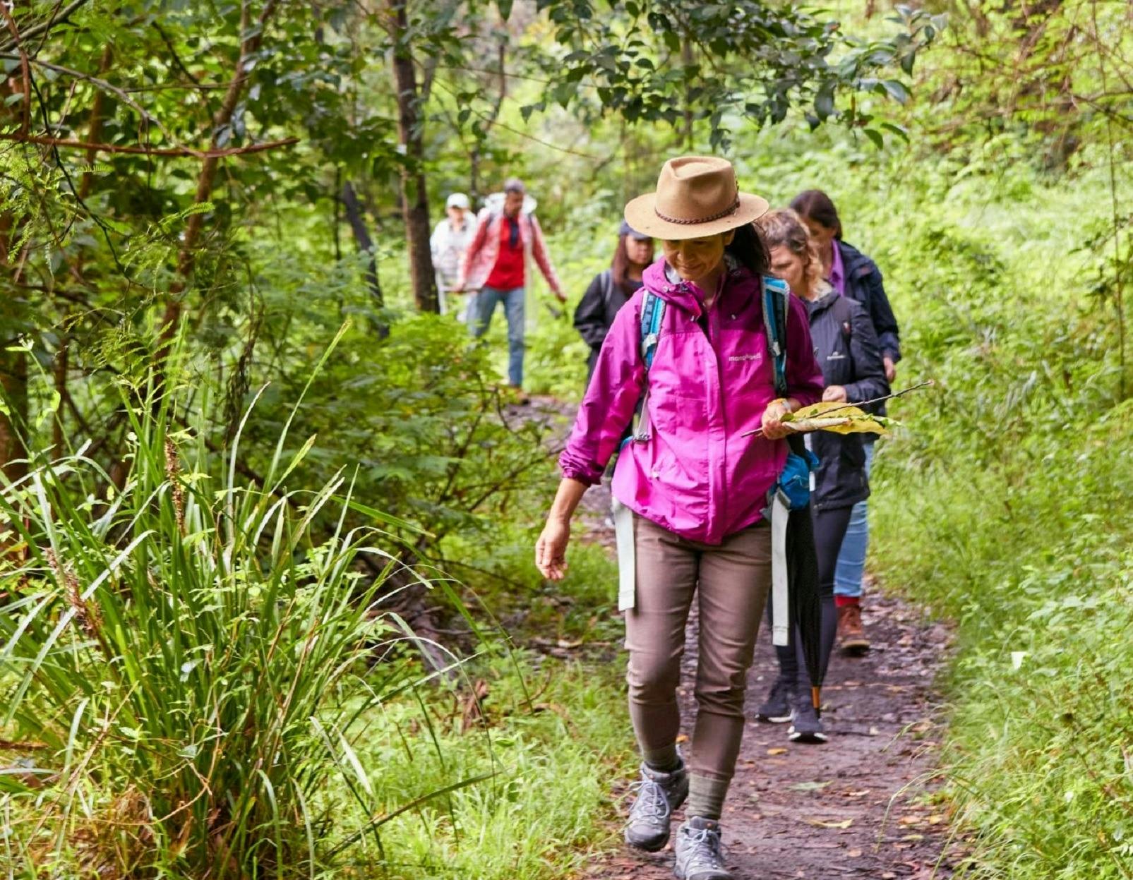 森林セラピーウォーク