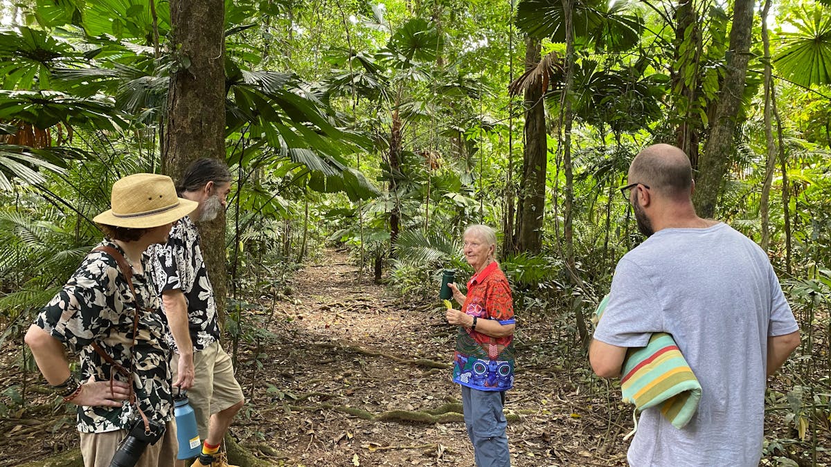 Four people sharing noticings on a rainforest path
