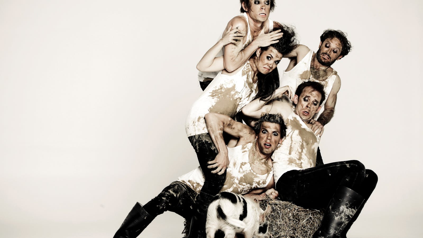 Animal Farm by George Orwell | presented by Shake & Stir and the Brolga Theatre