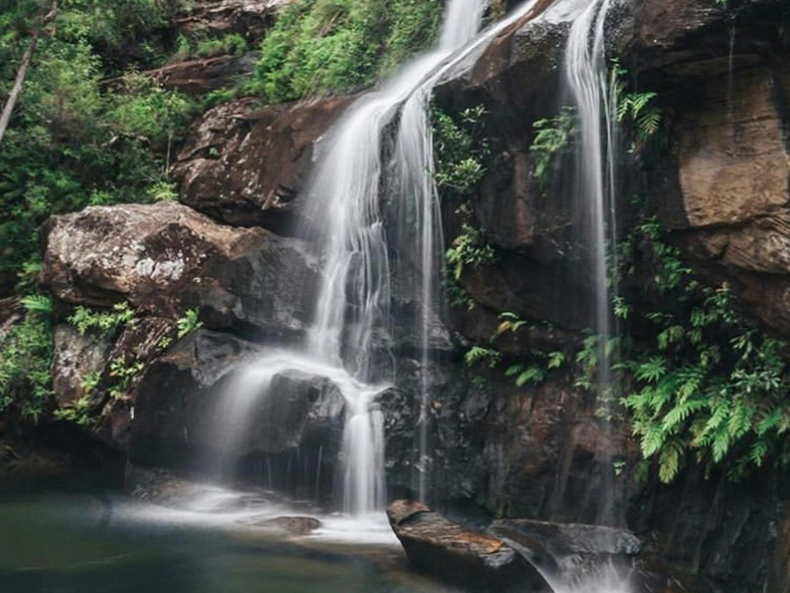 格倫雷村 (Glenreagh Village) 外的偵察瀑布 (Scouts Falls)