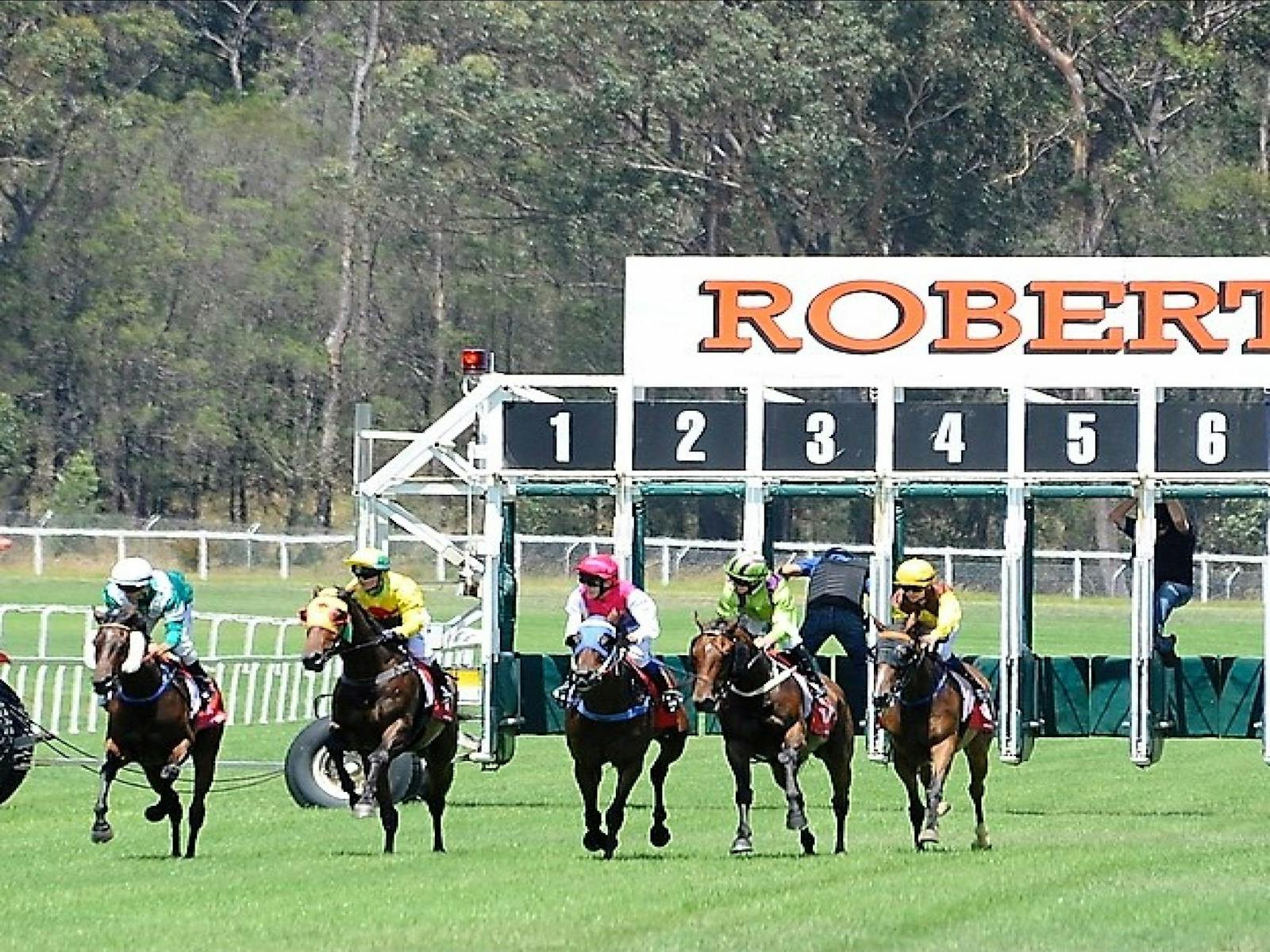 Image for Bendigo Bank Pambula Cup Race Day