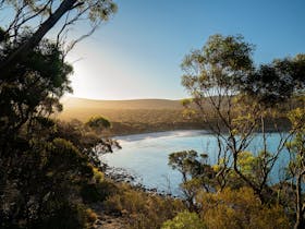 a beach in memory cove wilderness protection area with golden sunrays