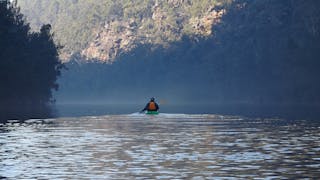 Sydney Kayak