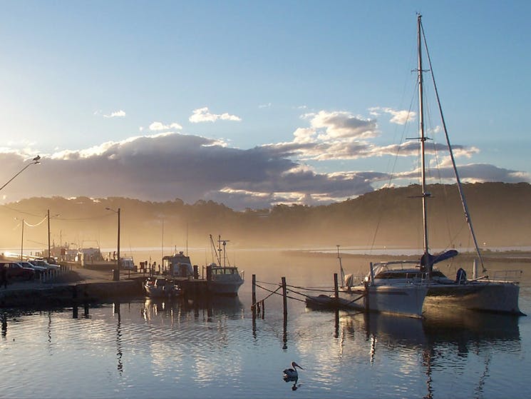 Narooma Wharf