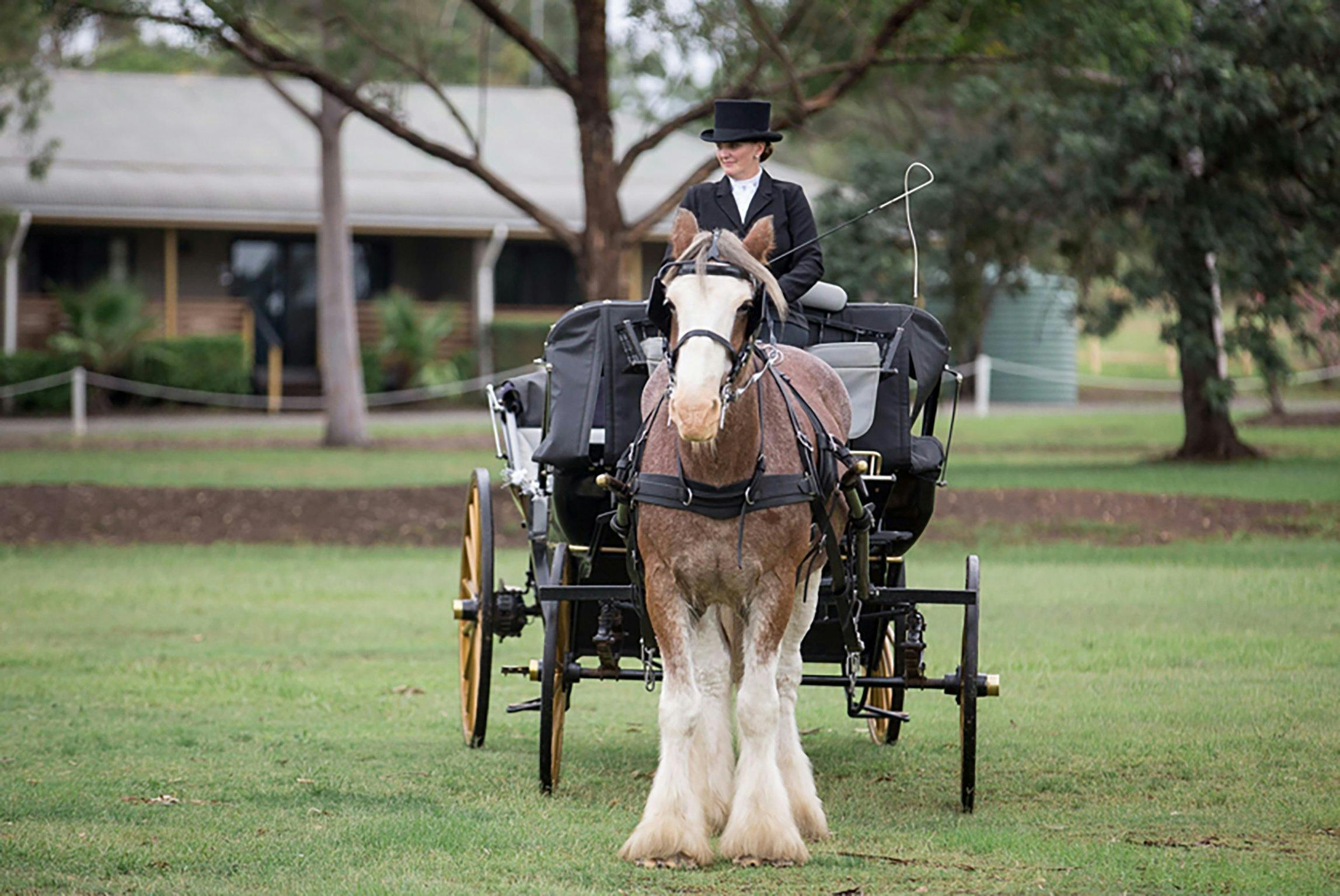 Hunter Valley Classic Carriages