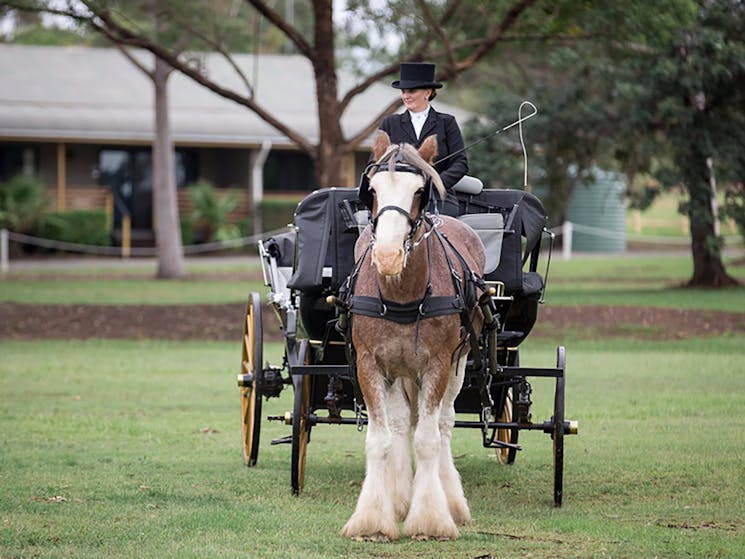 Hunter Valley Classic Carriages