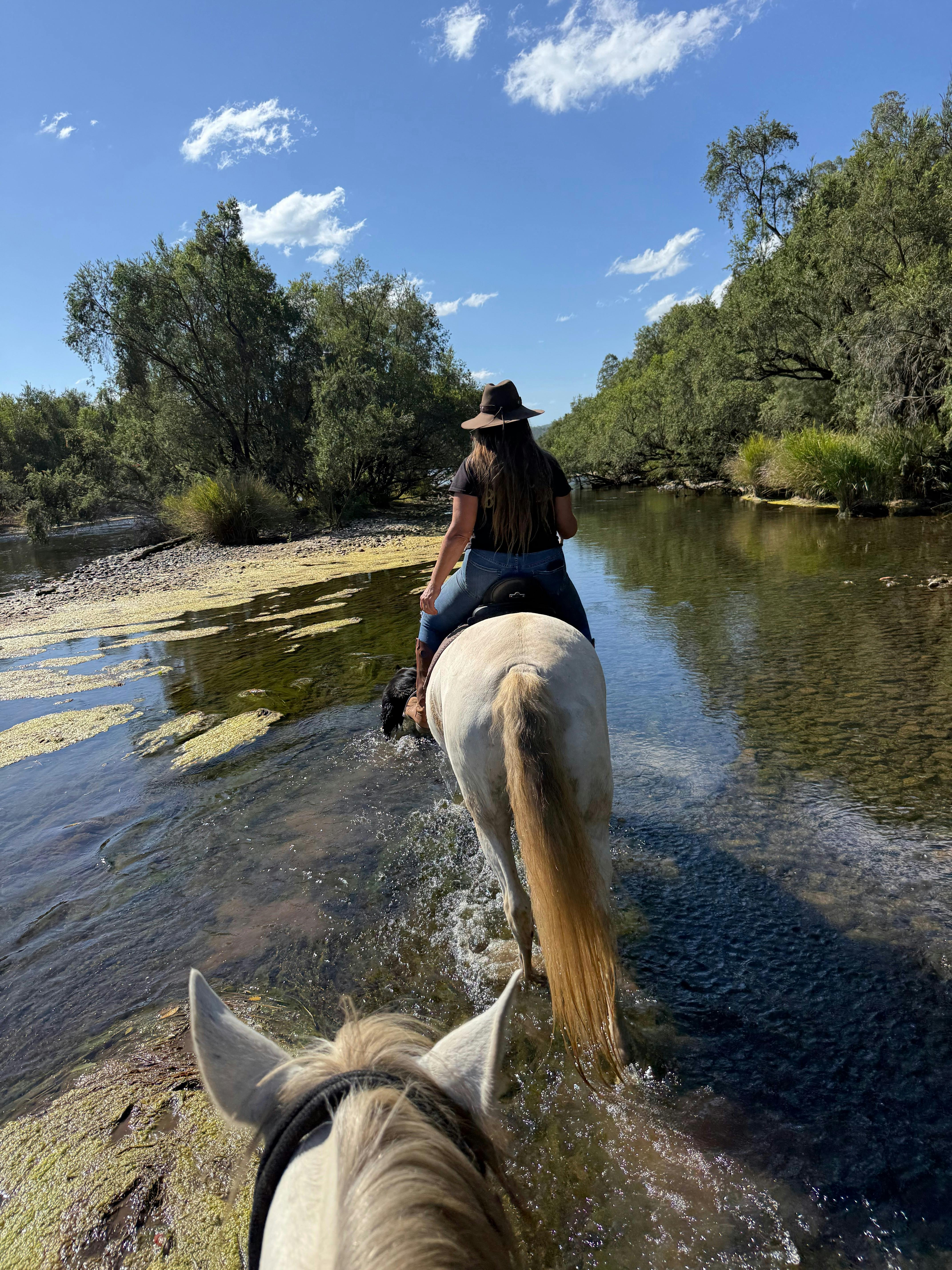 Horse riding through The Ranch on Clarence