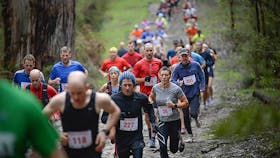 Run Forrest Trail Run