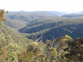 Box Vale Walking Track and Picnic Area