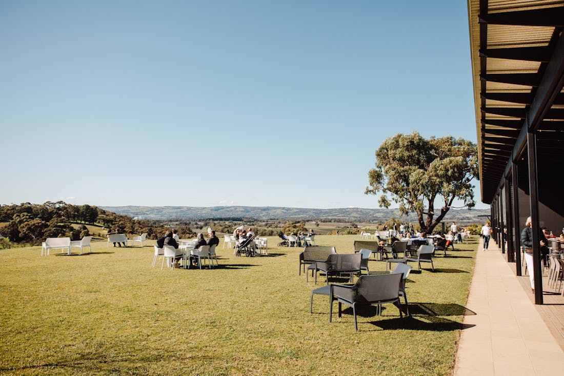 Juniper, Grape and Grain at Chalk Hill McLaren Vale, Tour Sou...
