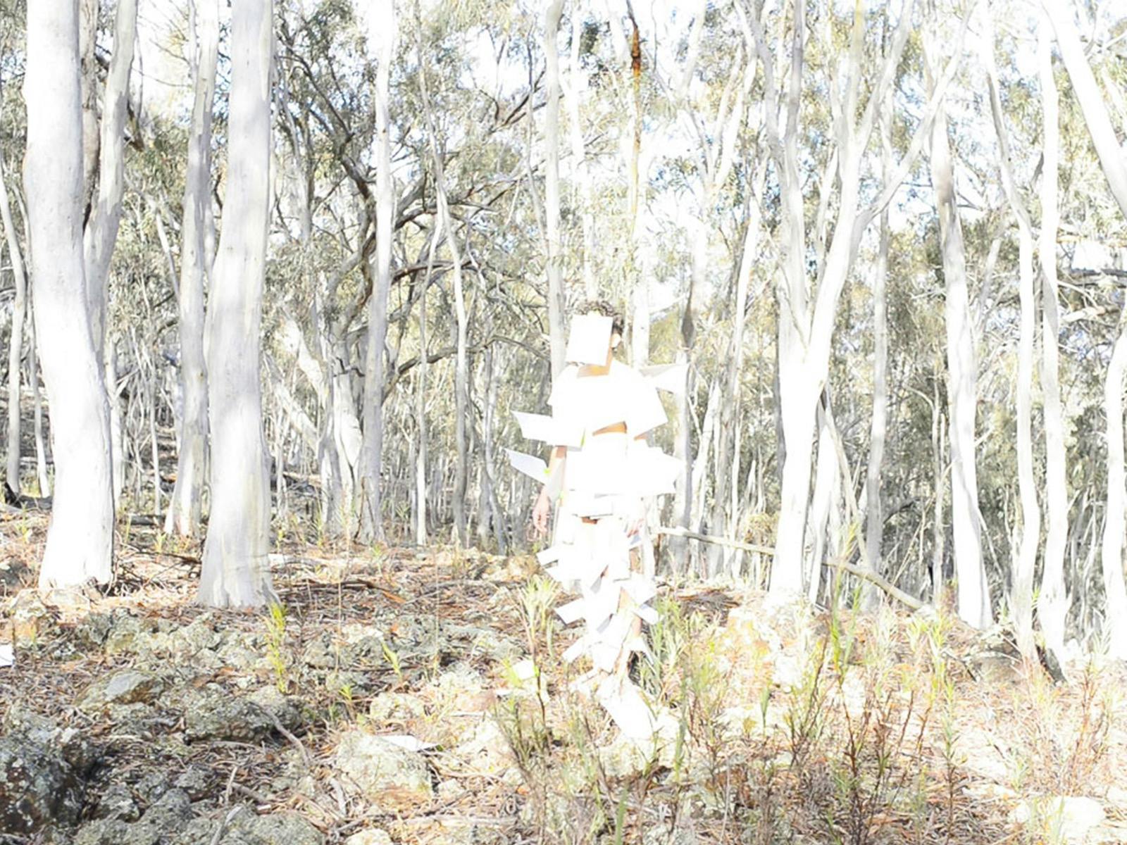 Image of a naked person with paper attached to them walking through the Australia bushland.