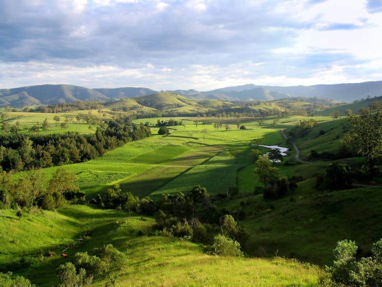 Water Gums Retreat Gloucester