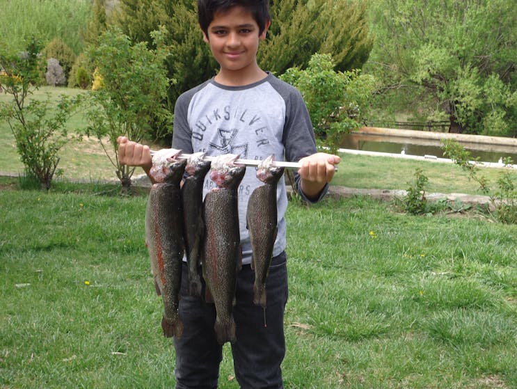 Eucumbene Trout Farm NSW Holidays Accommodation  Things