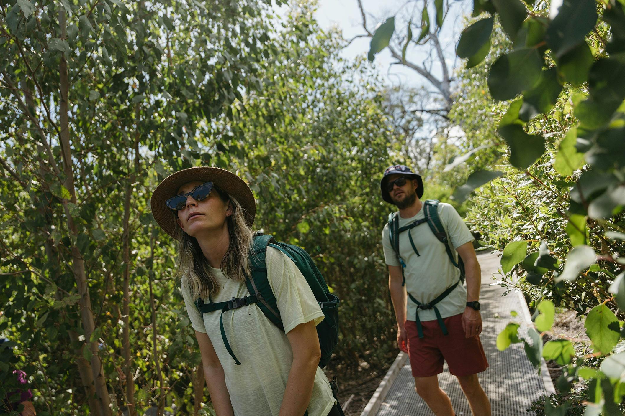 Walking on the Kangaroo Island Wilderness Trail