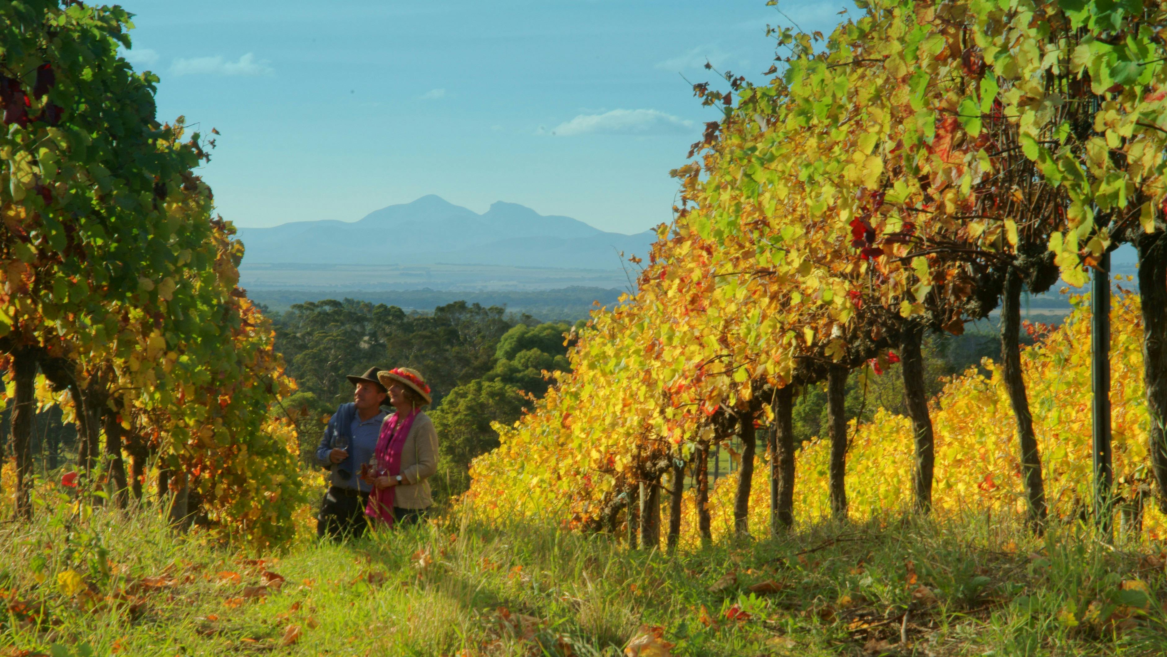 The Wine Adventurer, Western Australia