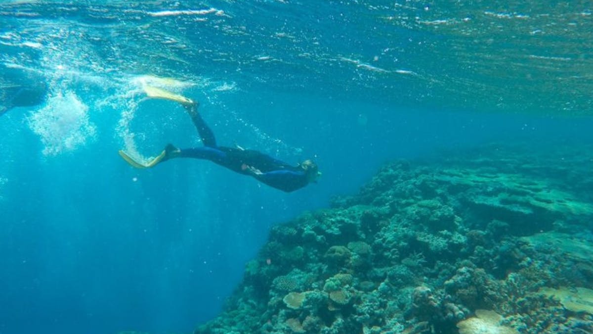 Dive the Outer Reef, relax on Whitehaven, and explore by night with Summer Jo liveaboard