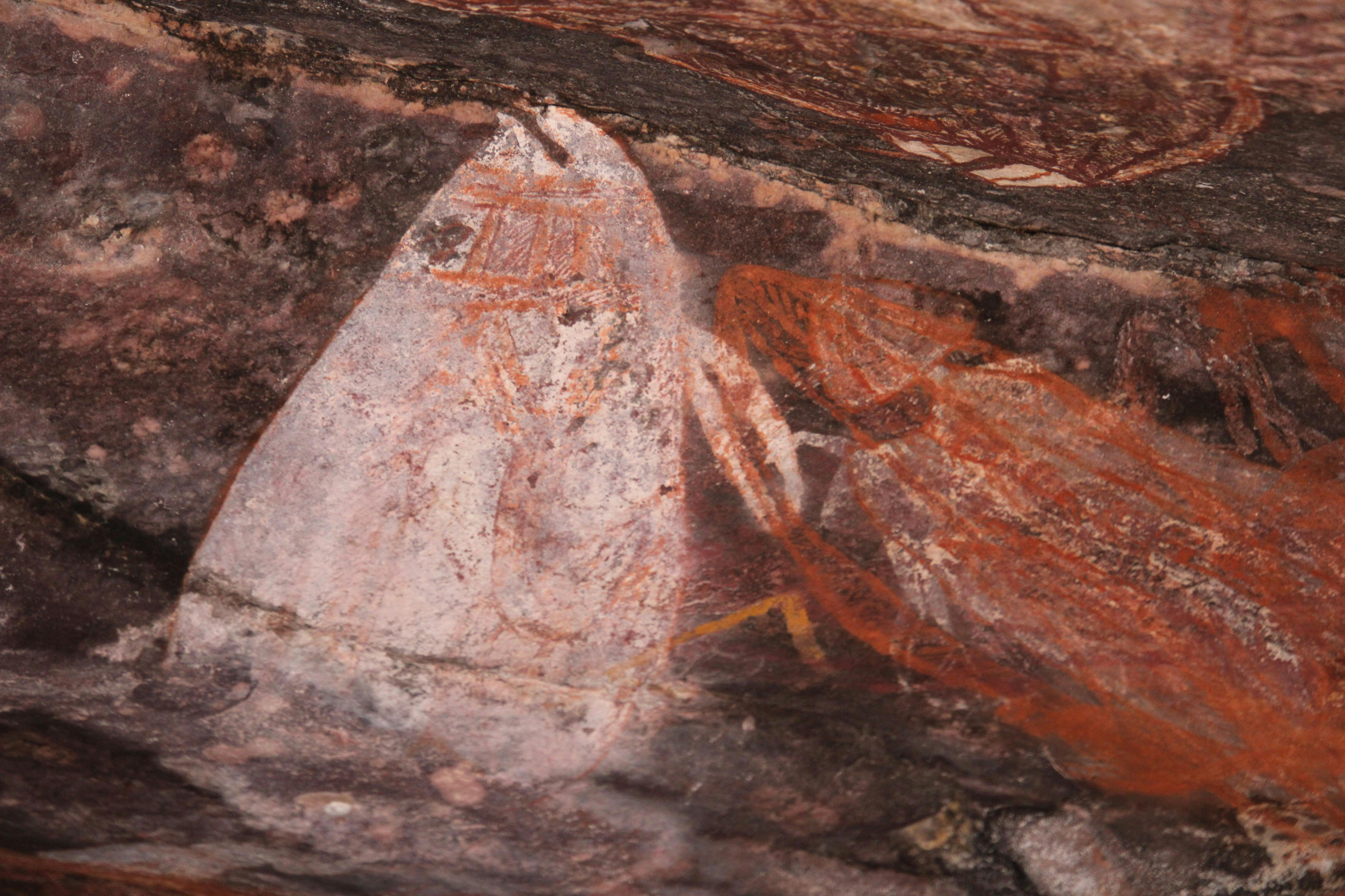 Kakadu Rock Art Fish
