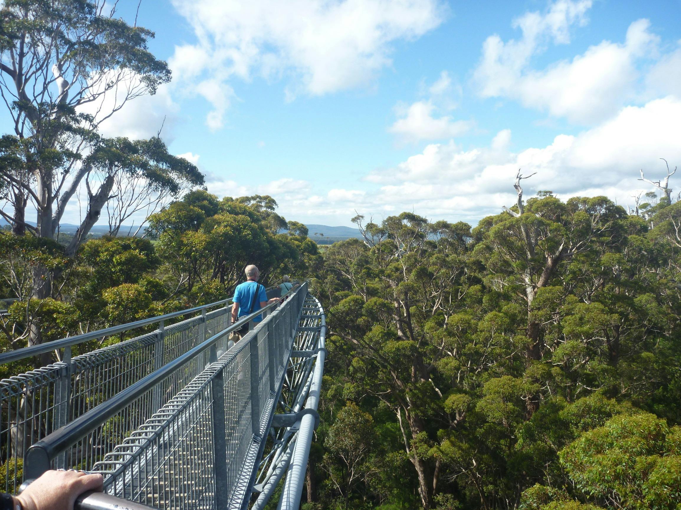 Best of the South West, Walpole-Nornalup National Park, Western Australia