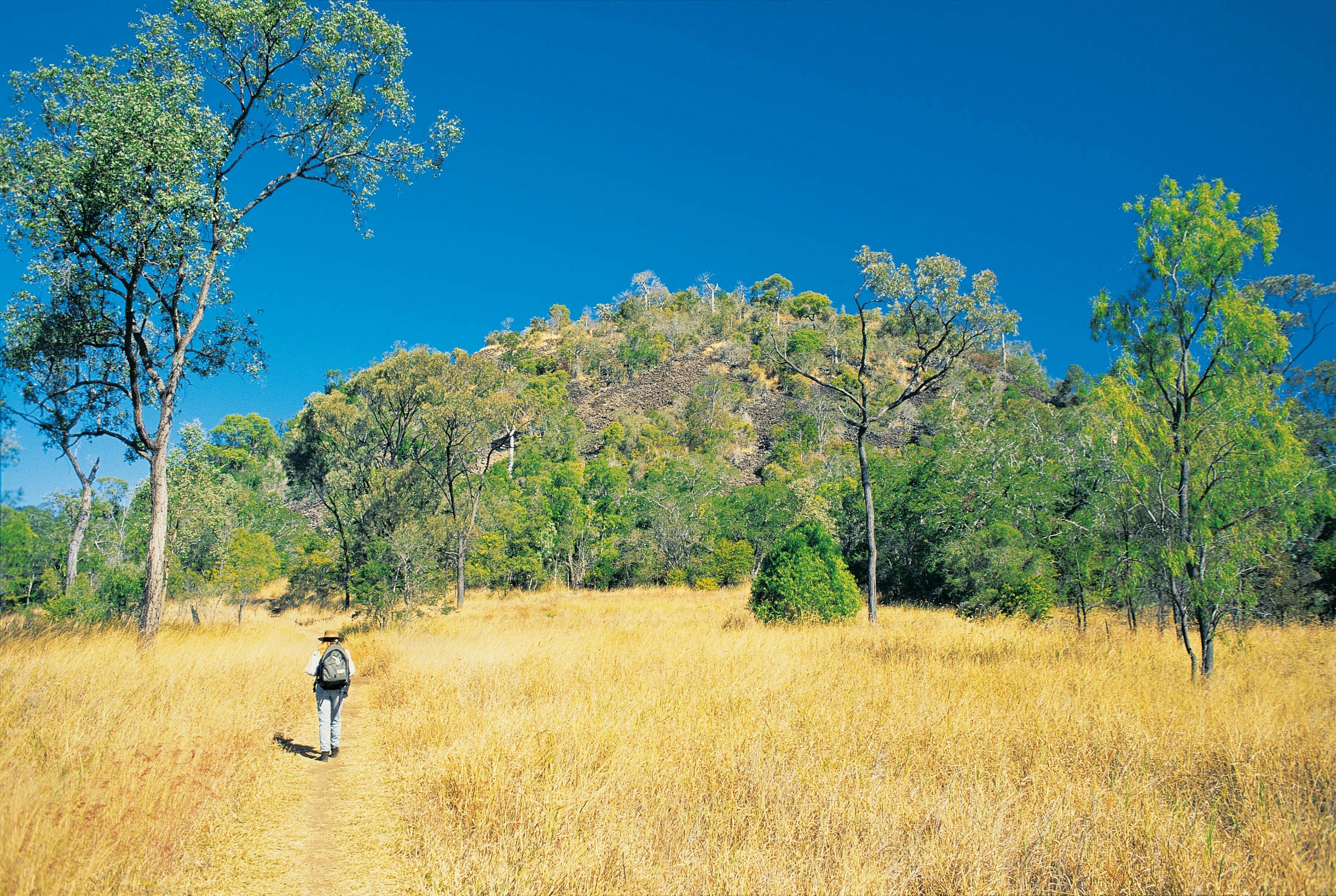 Mount Scoria Conservation Park