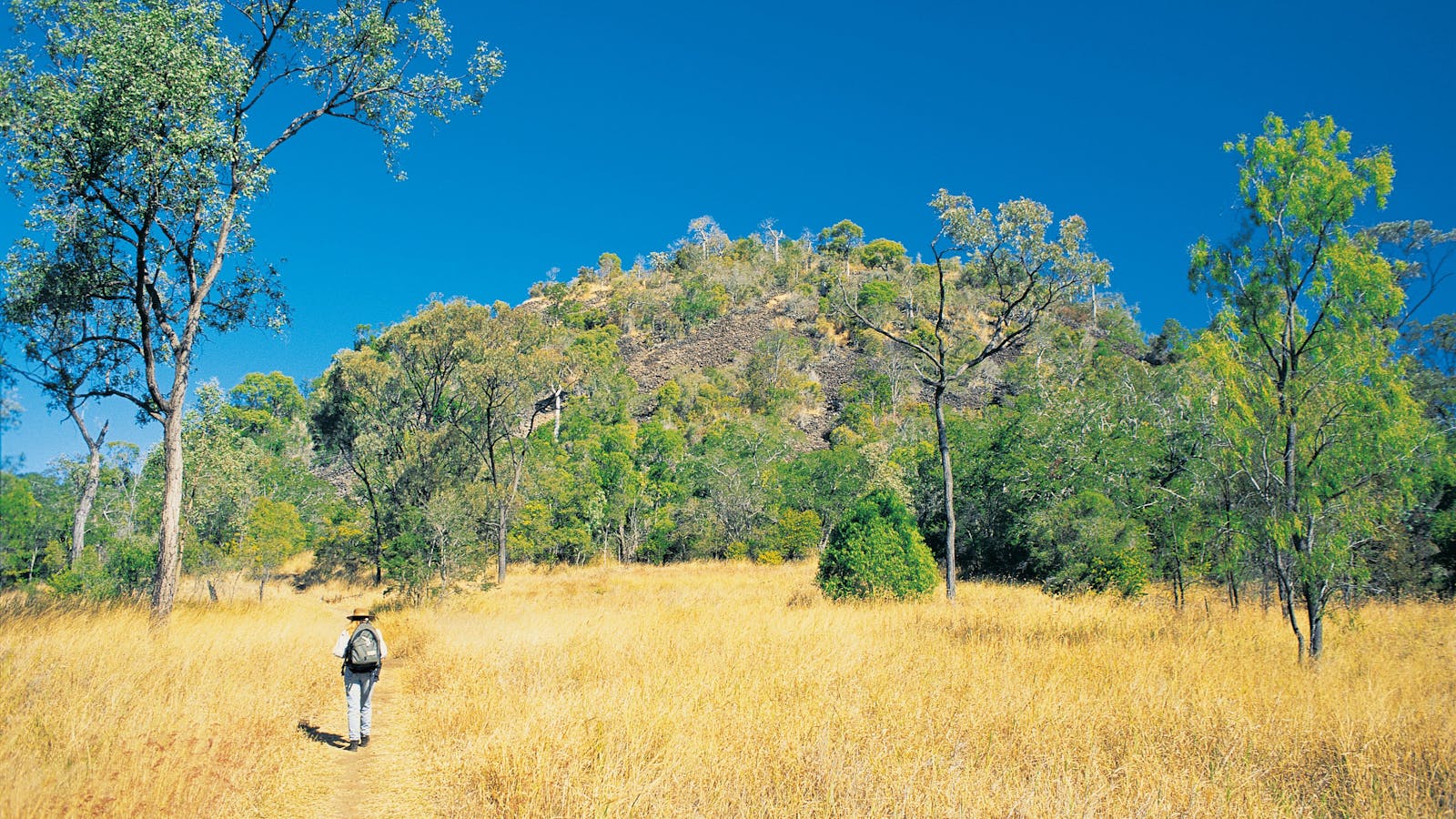 Mount Scoria Conservation Park