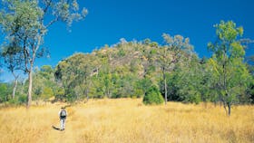 Mount Scoria Conservation Park