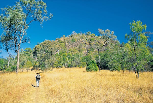 Mount Scoria Conservation Park
