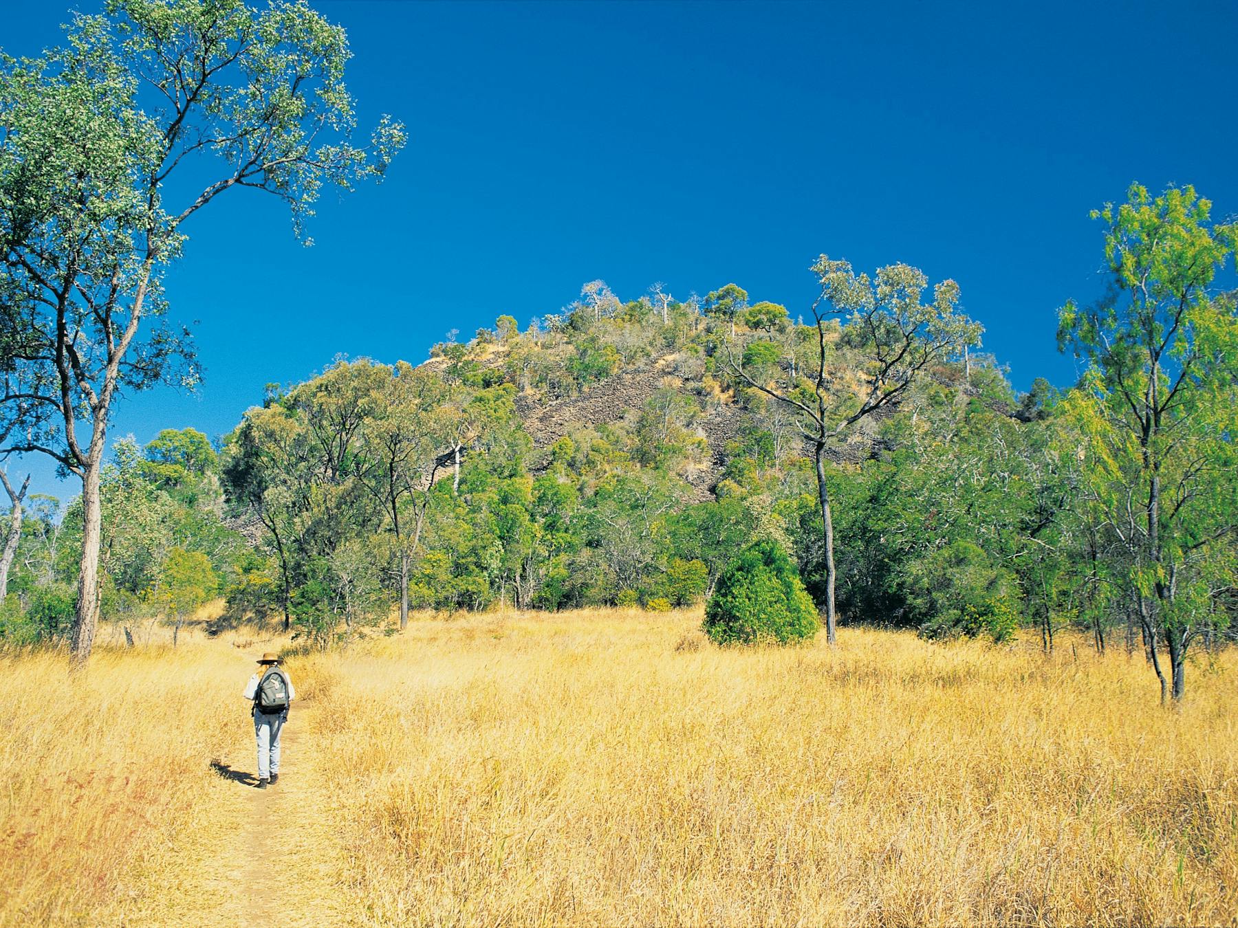 Man walking towards Mount Scoria in background.
