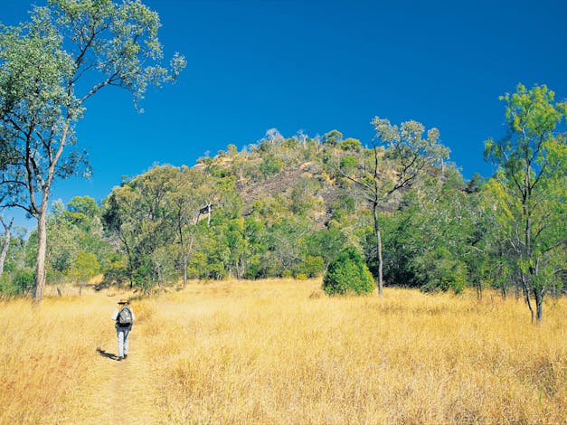 Mount Scoria Conservation Park