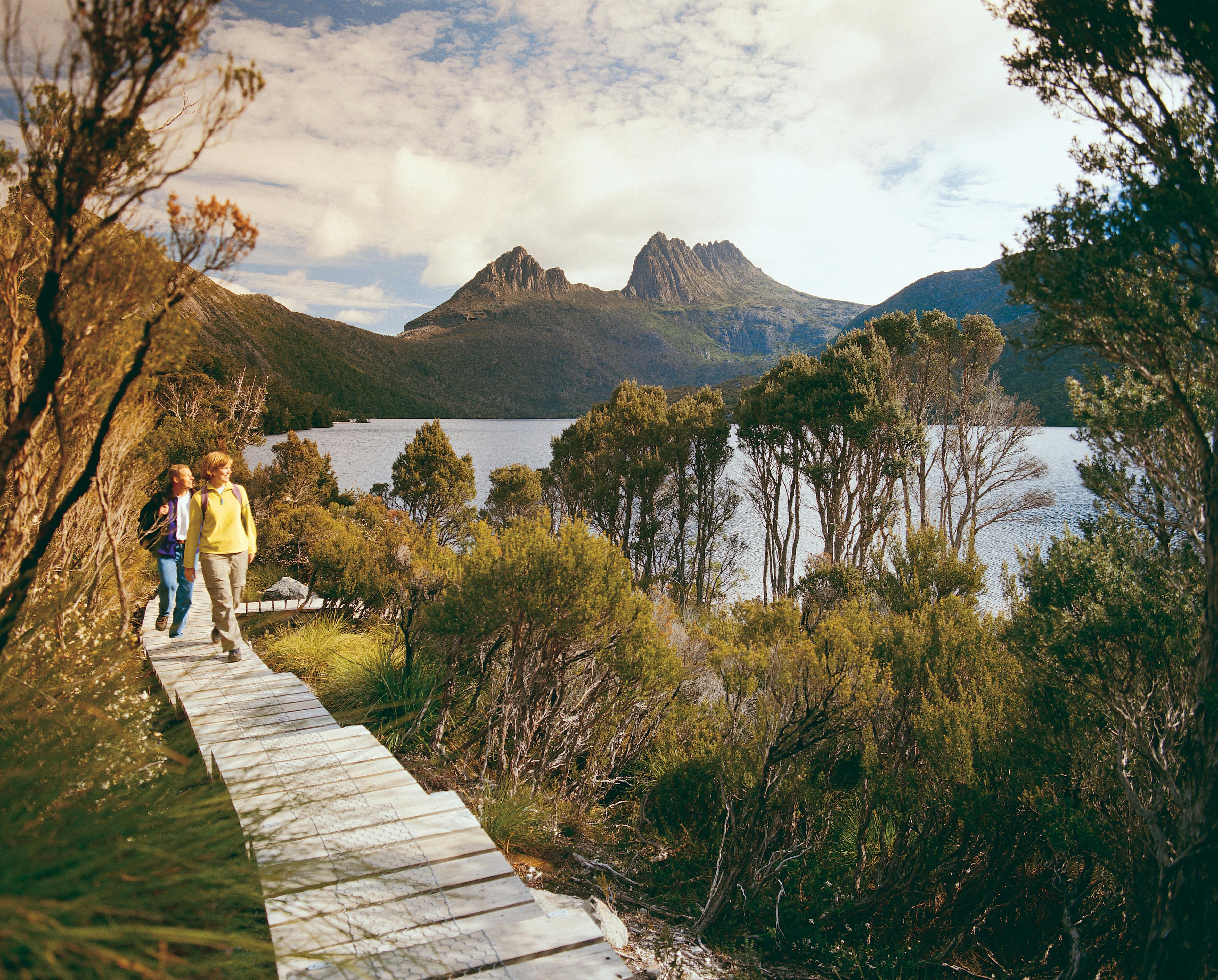 Scenic boardwalk
