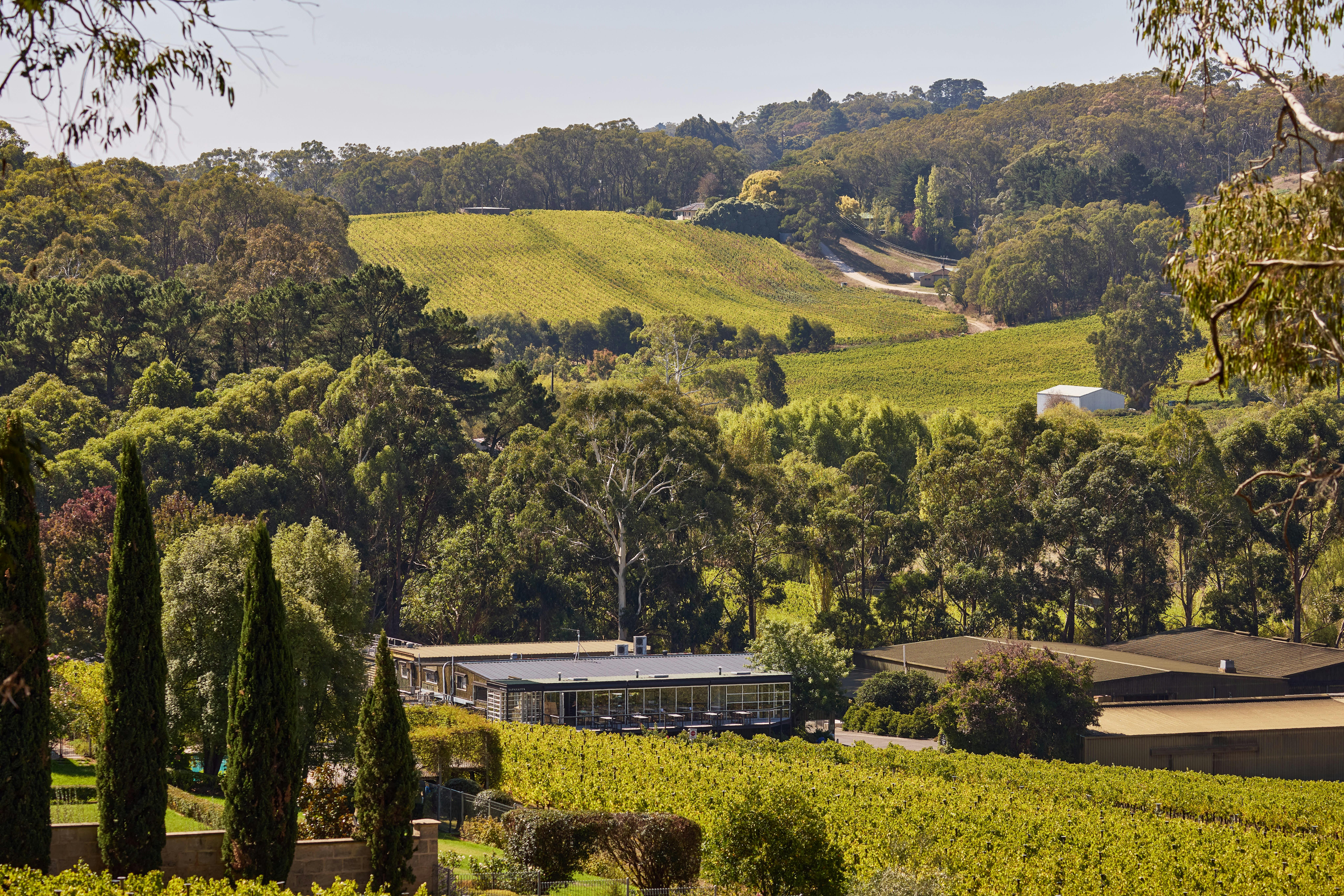 Cellar Door Entrance