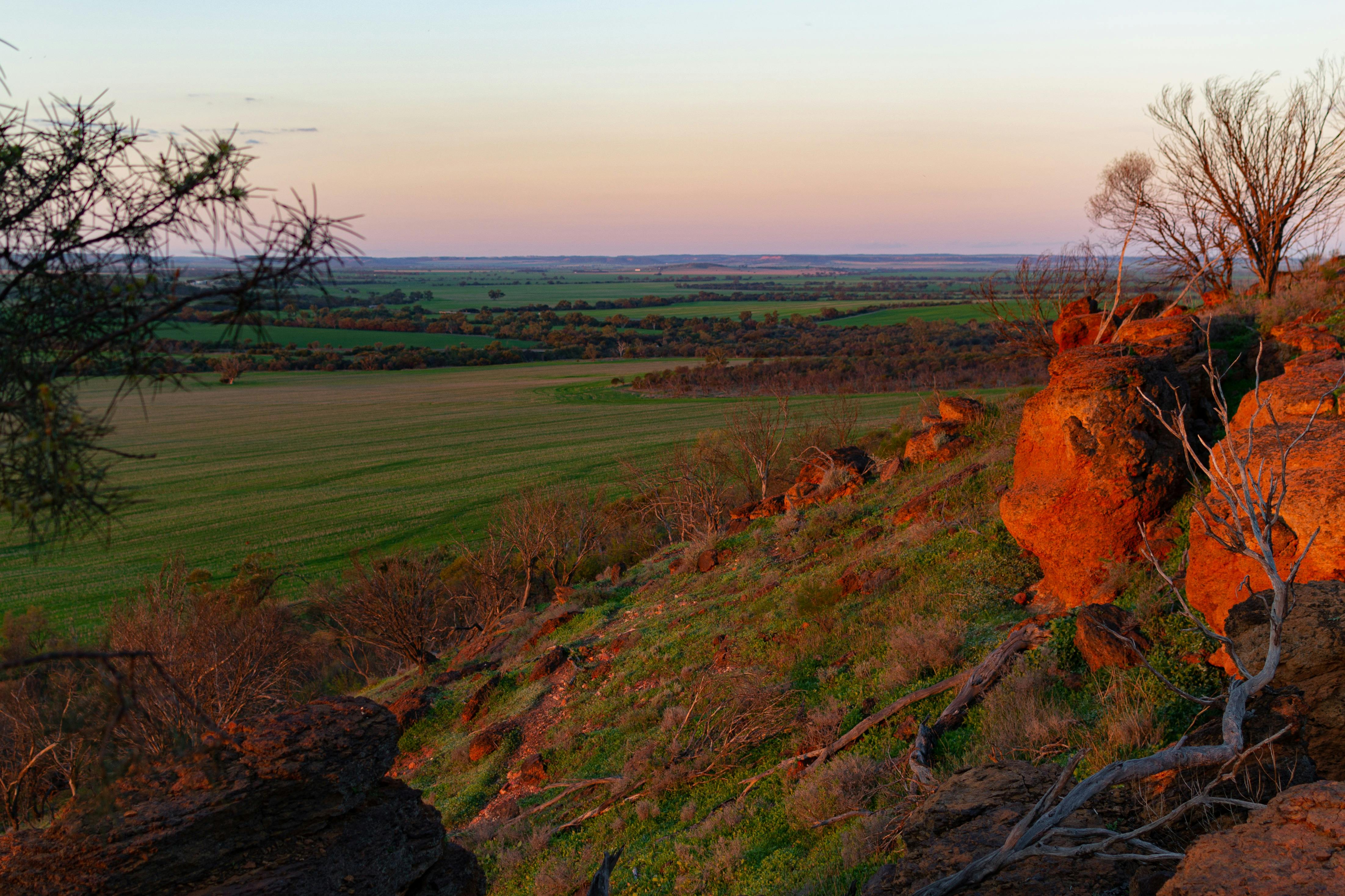 Mingenew Hill