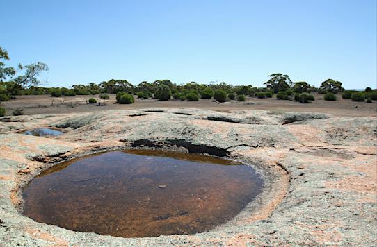 Gawler Ranges National Park - Gawler Ranges, Attraction | South A...