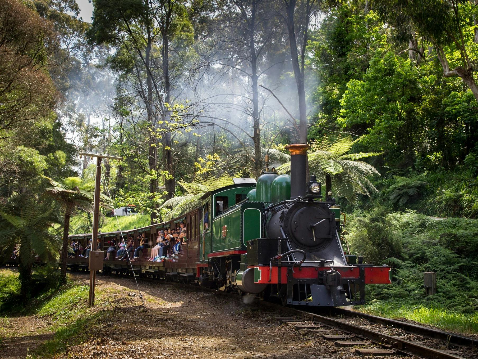 Yarra Valley & Dandenong Ranges