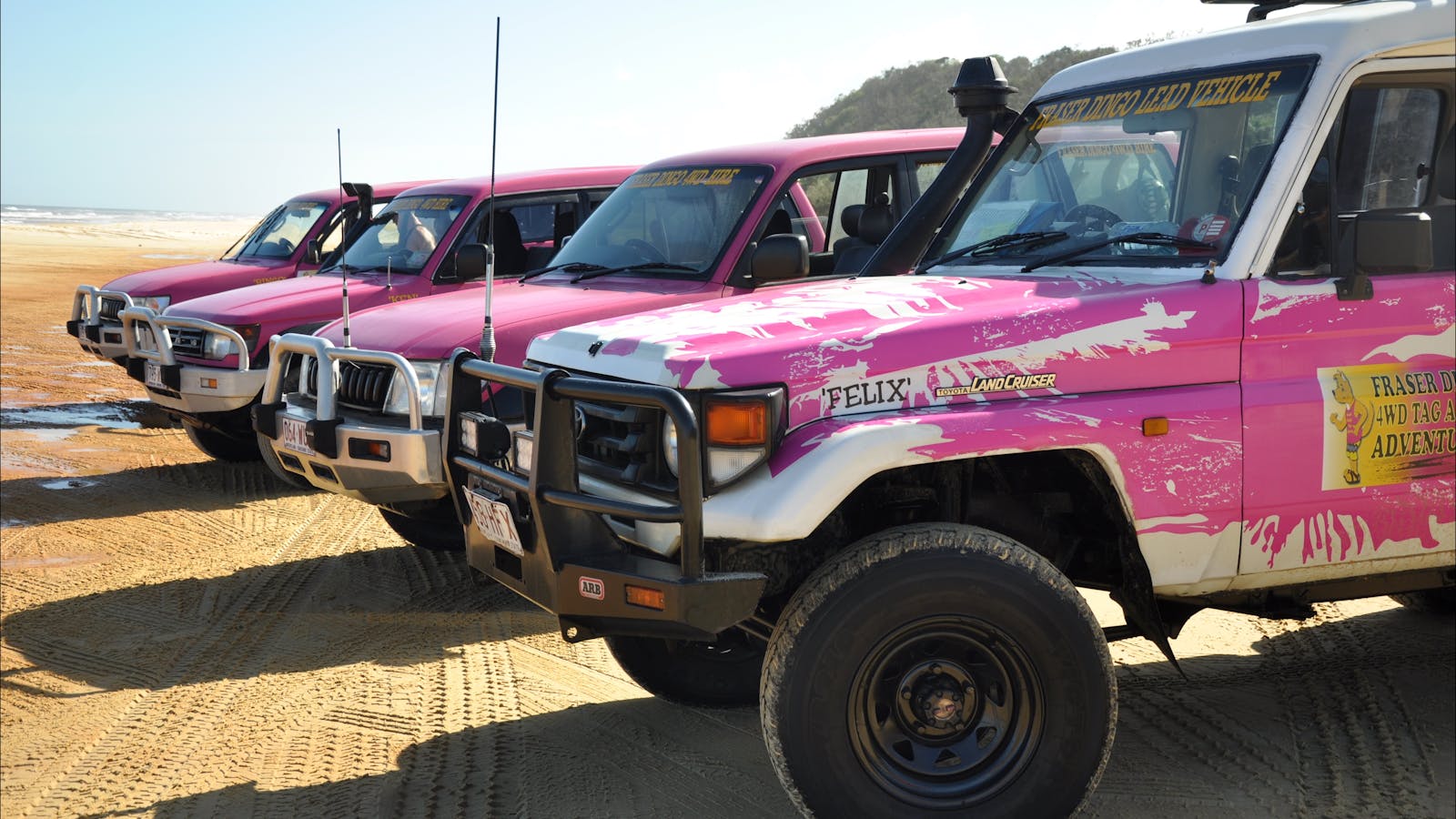 Fraser Dingo 4wd Hire
