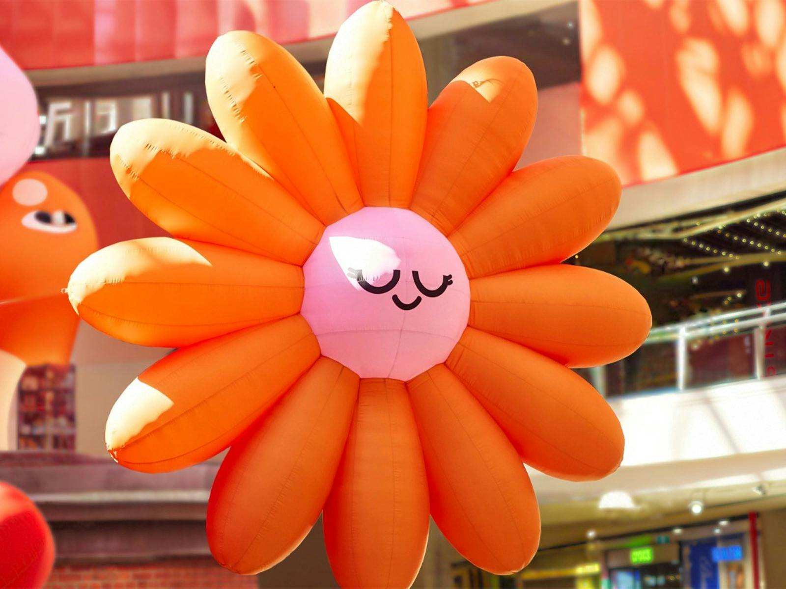 bloom