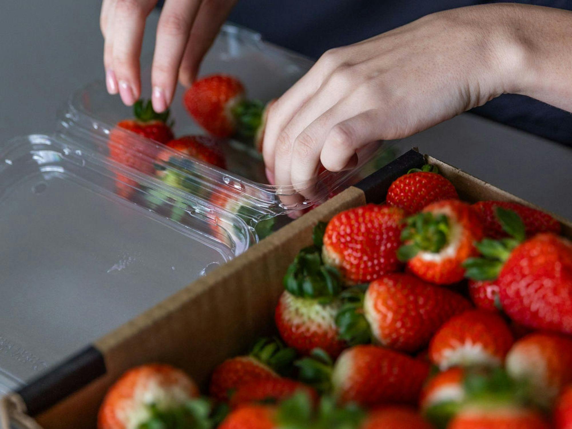 Berrylicious Strawberries