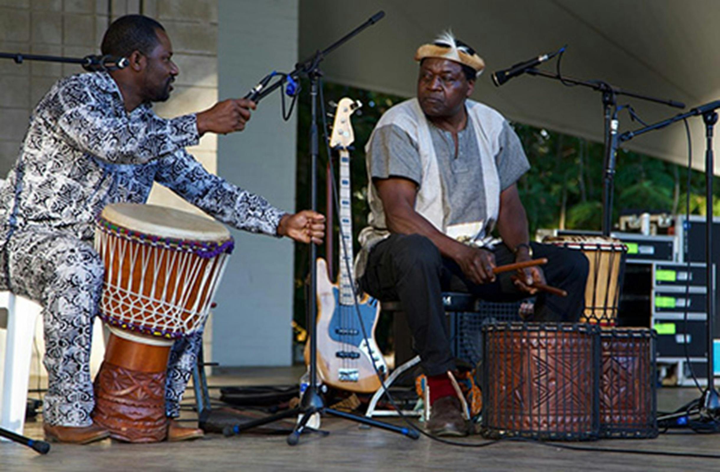 Image of a musical performance at the Africa Festival In The Park