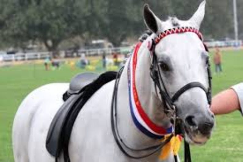 Image of the event 'Koorawatha Annual Show'