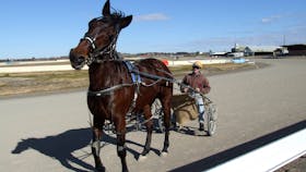 Goulburn Harness Racing Club