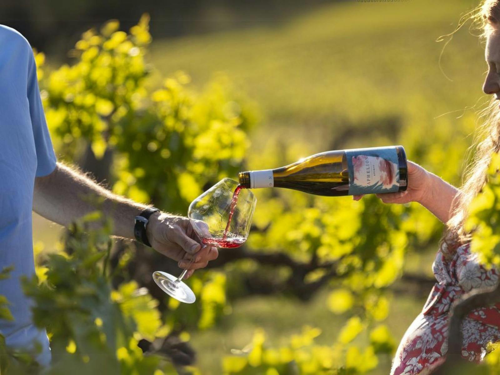 Two people in a vineyard one pouring Aphelion wine one holding the glass