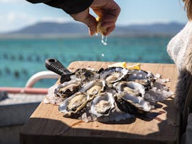 Pure Coffin Bay Oysters Farm Tours