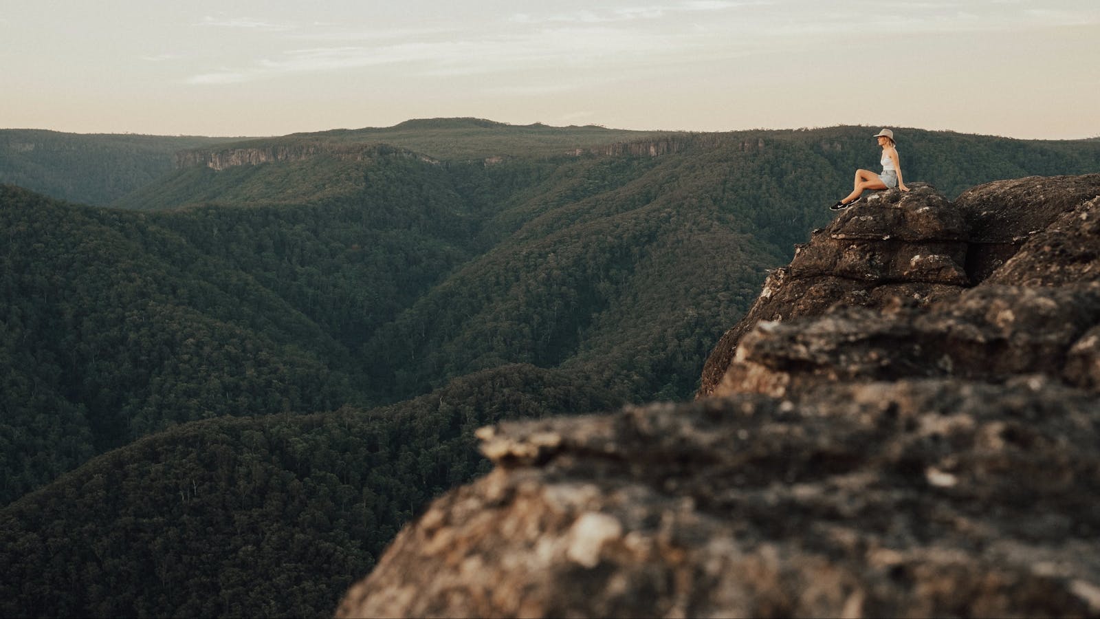 Mt Bushwalker Walking Track