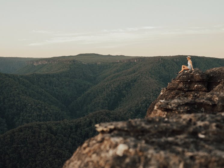 Mt Bushwalker Walking Track