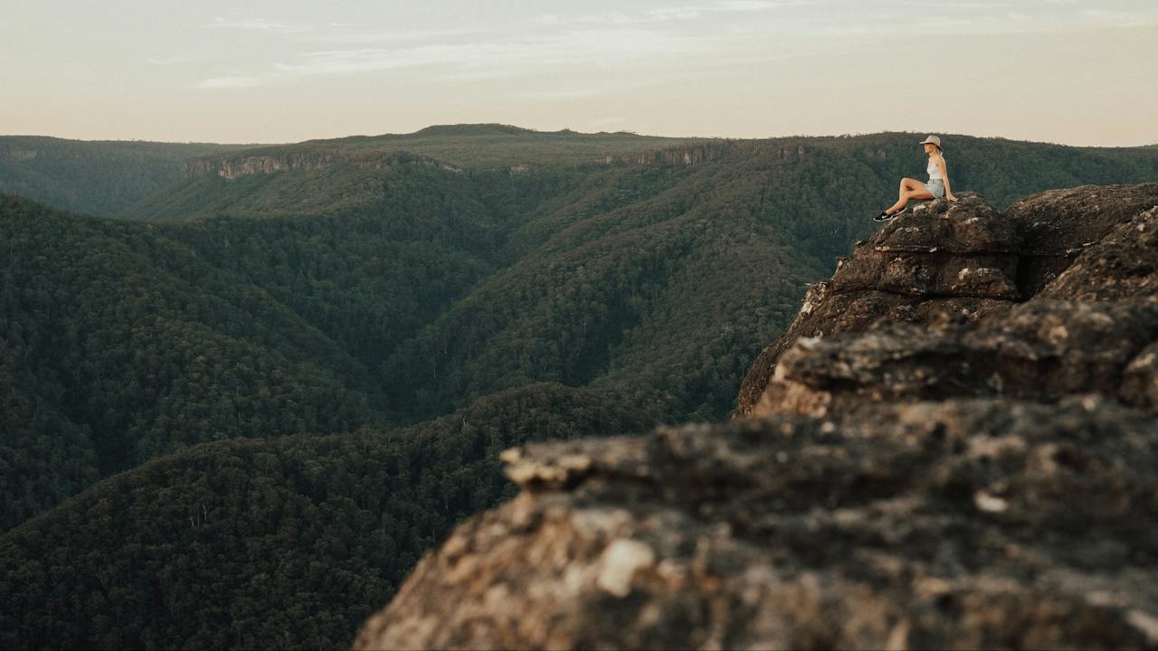 Mt Bushwalker Walking Track