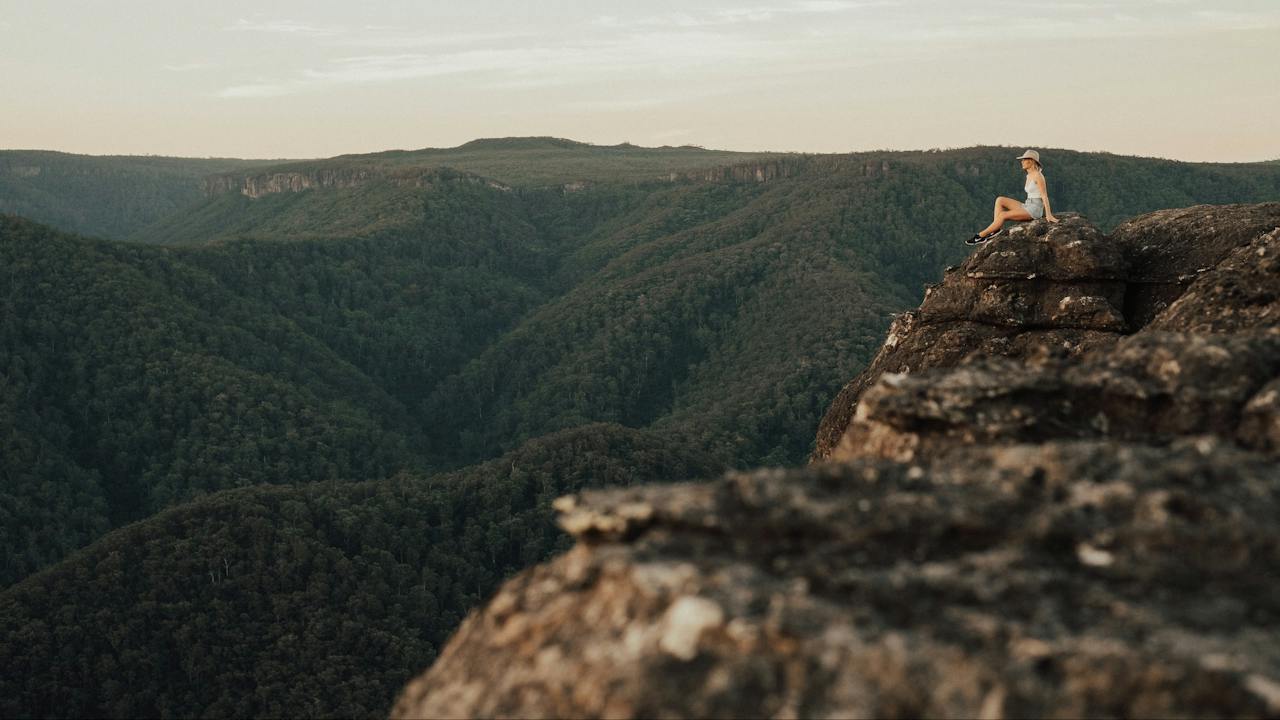 Mt Bushwalker Walking Track